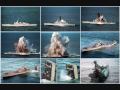 MDFMK - Torpedoes