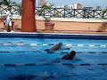 Santo Domingo Masters 100 Combinado