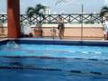 Santo Domingo Masters 100 Combinado