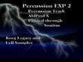 Percussion Experiment 2  (TRIBAL)