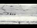 https://www.youtube.com/watch?v=VM4sc8OL8wA