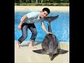 David Archuleta - With Dolphins