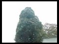 ??? ?????2