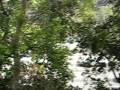 MVI_0553.AVI