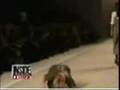 Jessica Stam Falling