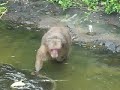 Catemaco Veracruz Isla de los Changos TrotaMexico