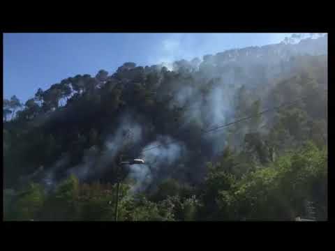 INCENDI BOSCHIVI A OLIVETTA E REZZO