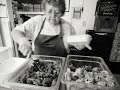 Stepping Up: The Missoula Food Bank