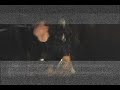 Throdl \"Saboteur\" Teaser