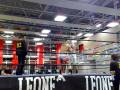 videos de Beppe Grecu fermato per ferita 2 round 2 parte
