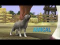 Les Sims 3 - Animaux & Cie : Adoptez-les ! (version PC)