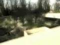 House Falling Water, Frank Lloyd Wright