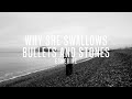 Esmerine - Why she swallows bullets and stones