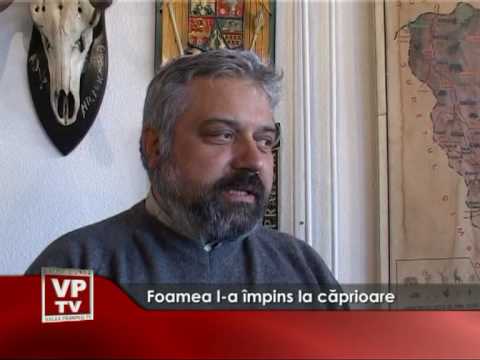 Foamea l-a împins la căprioare