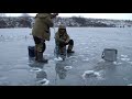 О зимней рыбалке на карпа. Тонкости. Секреты.