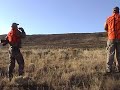 Wyoming Antelope Hunt 2008