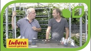 Die Kulturheidelbeeren von Lubera®