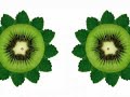 Frutas Z�io