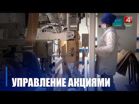 Гомельская область демонстрирует рост доходов от управления госимуществом видео