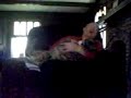 sneezing-dog.html