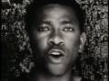 Neneh Cherry and Youssou N'Dour ( 7 Seconds)