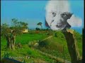 Agrigento e la Valle dei Templi.wmv Agrigento e la Valle dei Templi.wmv