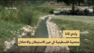 وادي قانا.. محمية فلسطينية في عين الاستيطان