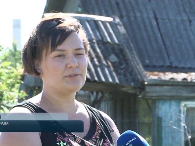 Ни кола, ни двора Ни кола, ни двора