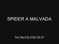 baile funk brasil mr catra noite do adultério spider malvada