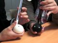 [Strapya World Premire] The Greatest Otamatone Band Ever!
