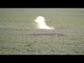 Varmint Shooting @ The Ranch May 2008 Clip 4 Varmint Shooting @ The Ranch May 2008 Clip 4