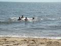 mergulhando no mar do cape....