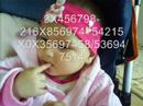 k?z?m-my doughter \"reloaded\" k?z?m-my doughter \"reloaded\"