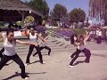 Taiwanese Dancers