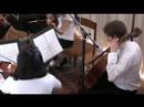 Rudolf Haken Clarinet Quintet, 1st movement