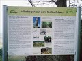 Adlerbogen bei Dannenfels am Donnersberg/Pfalz