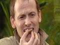 Im a celebrity get me out of here: Eating insects Im a celebrity get me out of here: Eating insects