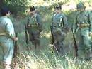 Instruccion en Corbera