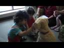 Hands-On with Biscuit, the Somewhat Obedient Dog Hands-On with Biscuit, the Somewhat Obedient Dog