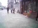Trzeci leszczy?ski flashmob