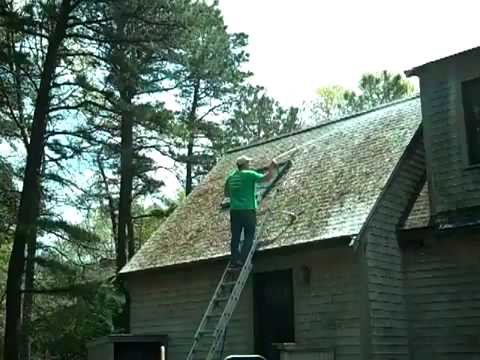 how to eliminate moss on a roof