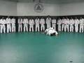 Gracie Jiu-Jitsu Academy... View Video