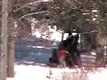 BFC: Yellowstone Bison Execution 12/08/05
