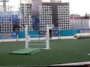 Dog Show II