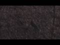 videos de Bowtech allegiance hitting hard.