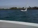 2 viradas snipe en lanzarote(la berenjena violeta)