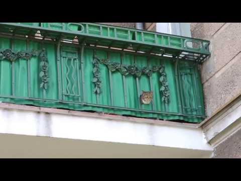 YouTube Preview Image