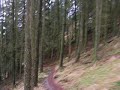 Mountain Bike down hill run Wales Mountain Bike down hill run Wales