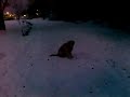 kato SLK na avariiki.qouteBoiko.mp4