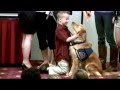 Lake Ronkonkoma Boy Graduates with CCI Assistance Dog